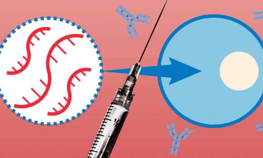 Έρευνα για τα εμβόλια: Πόσο επηρεάζεται το σπέρμα και η ανδρική γονιμότητα